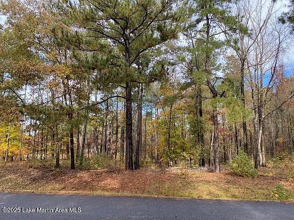 3rd image of 31 Buckview Ln Lot 13