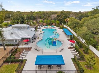 6978 Holly Heath Dr, Riverview, FL 33578