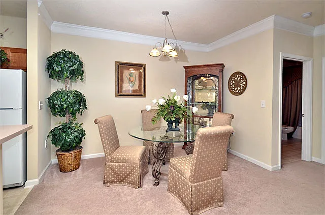 The Reserve at Ivy Creek Apartment Homes — Photo 28