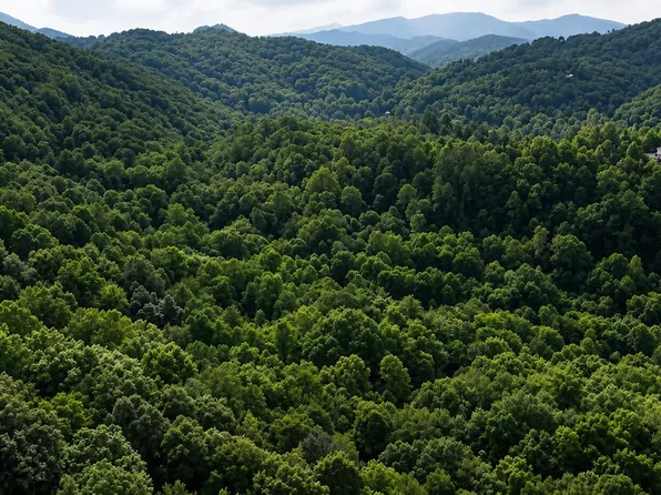 S Clear Fork Rd, Sevierville, TN 37862