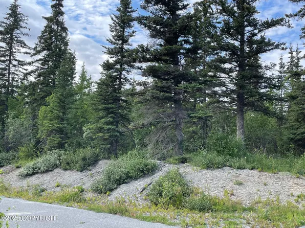 Mi 5 6 Edgerton Hwy, Copper Center, AK 99573