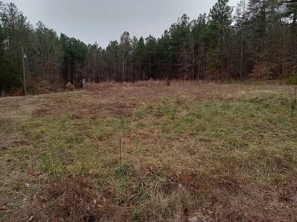 1334 Grape Lawn Rd, Burkeville, VA 23922