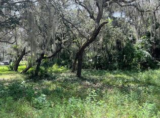 County Road 448 LOT 10, Lake Panasoffkee, FL 33538
