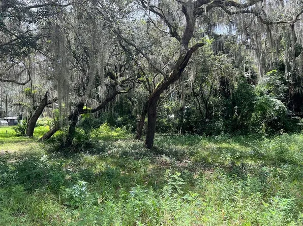 County Road 448 Lot 10, Lake Panasoffkee, FL 33538