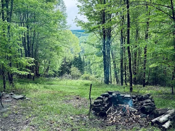 State Highway 30 Lot 1, Andes, NY 13731