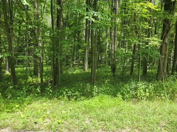 Wild Turkey Ln, Oakland, MD 21550