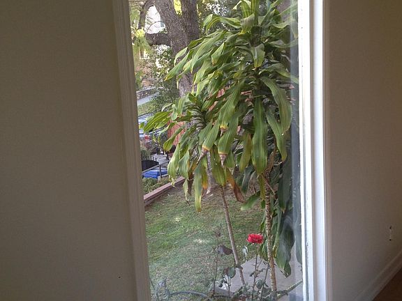 5th image of 1385 N Maltman Ave