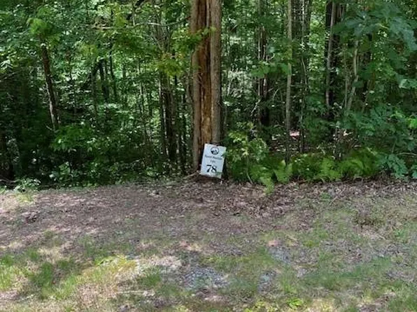 78 Peppervine Cir #78, Rosman, NC 28772