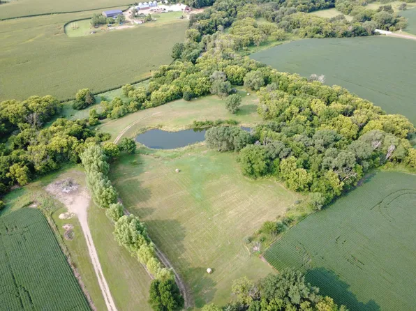 Cottonwood, Revere, MN 56166
