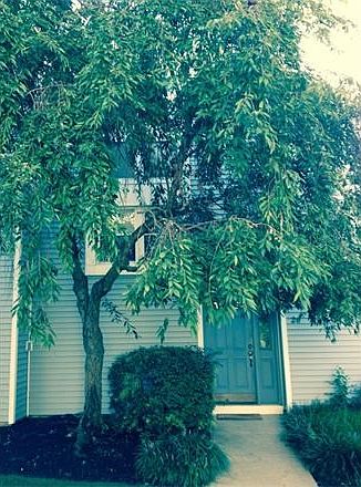 1st image of 26 Dallenbach Ln