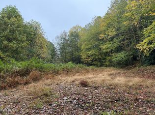 0 Clarktown Rd, Roan Mountain, TN 37687