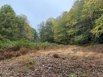 0 Clarktown Rd, Roan Mountain, TN, 37687