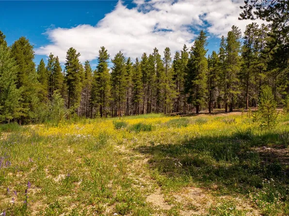 609 Mountain View Dr, Leadville, CO 80461