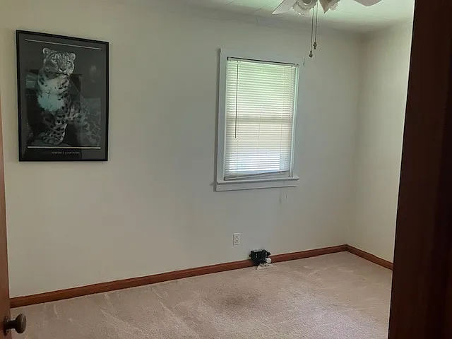 4541 Peek Trl — Photo 16