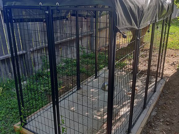 Dog Kennel