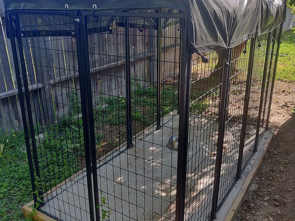 Dog Kennel