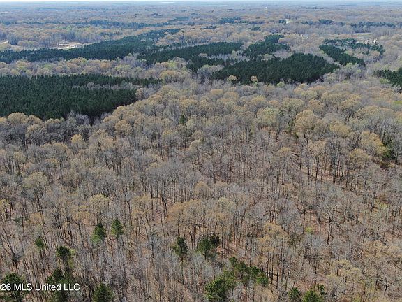 5th image of 4500 Jaybird Rd