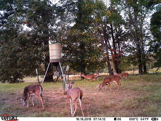 1st image of 7411 County Road 4712