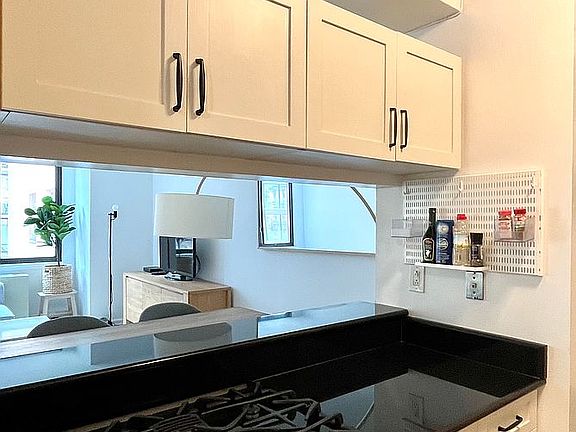 5th image of 199 Bowery APT 4D