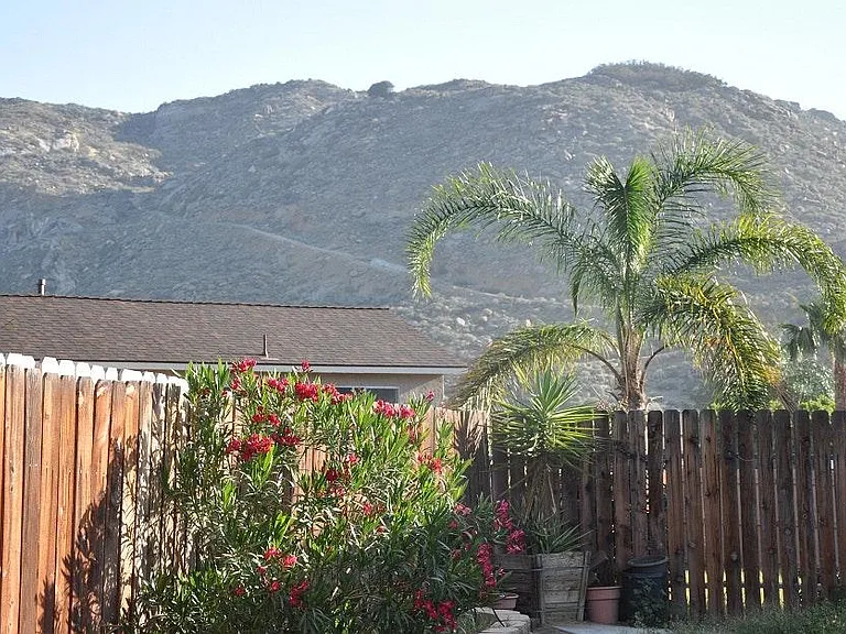 11988 Suzanne Dr — Photo 8