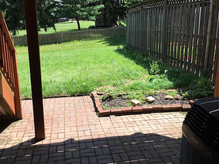 Backyard 2_06302017