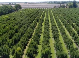 River Rd, Courtland, CA 95615