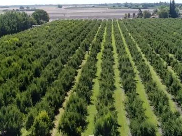 River Rd, Courtland, CA 95615