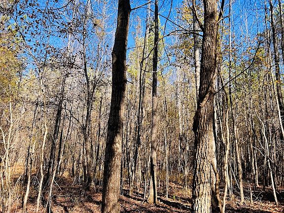 3rd image of 0 Rocky Mount Rd