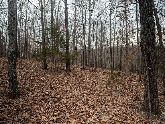 2nd image of 0 Nubbin Ridge Rd