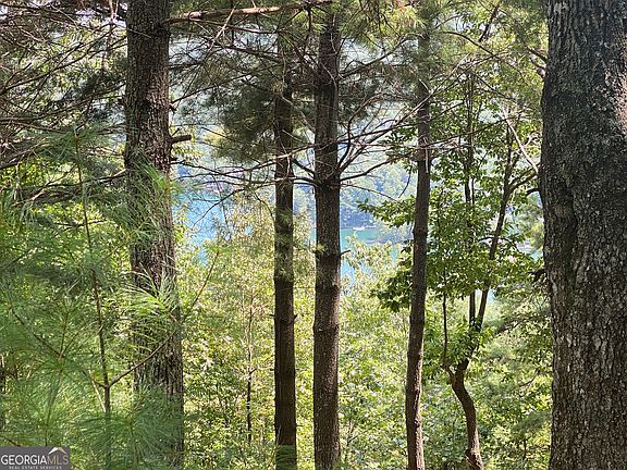 5th image of LOT 29 Lake Rabun Bluffs Dr