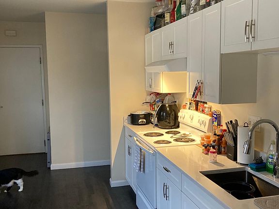 3rd image of 157 South Ave #2