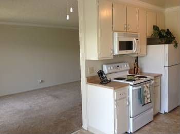 4th image of 474 Dolores Ave APT 107