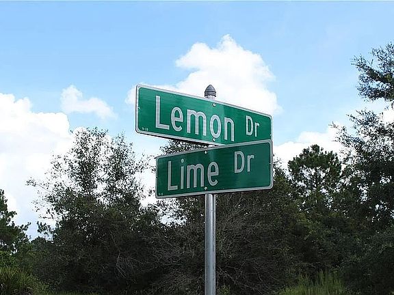 4th image of Lemon Dr #23