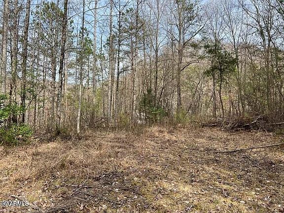 3rd image of 0 Roses Creek Rd