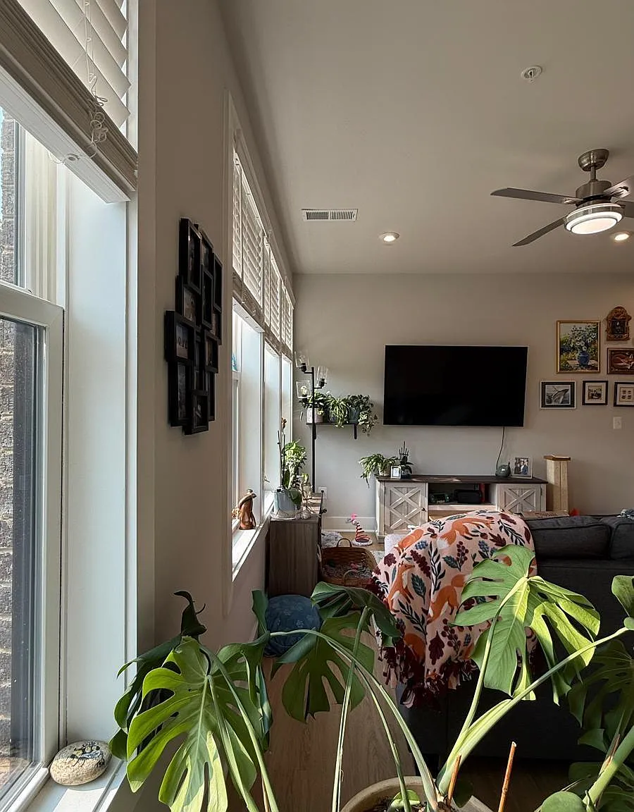 3 bed, 2.5 bath, 1625 sqft, $2,450 — Photo 3