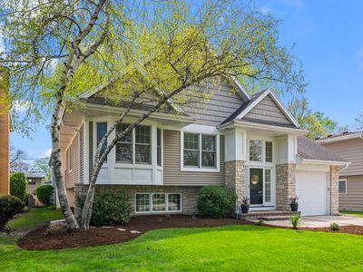 831 S Dryden Pl, Arlington Heights, IL, 60005