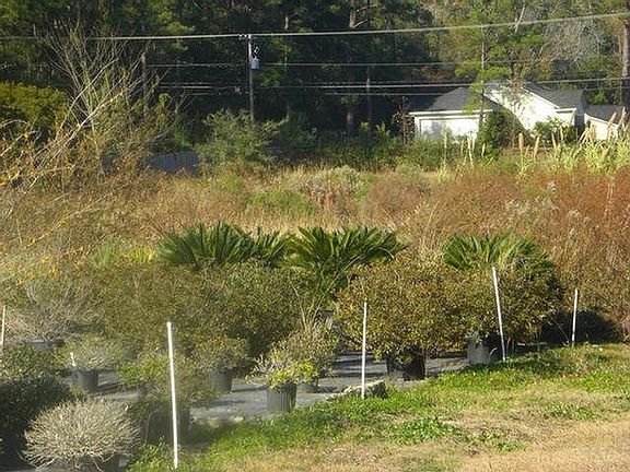 3rd image of 458 Powell Dr