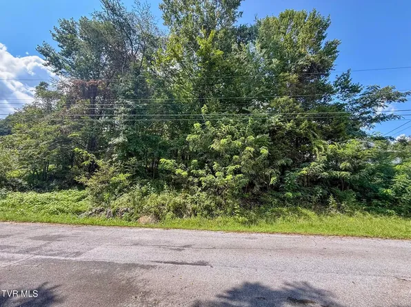 Tbd Herron Dr, Kingsport, TN 37663