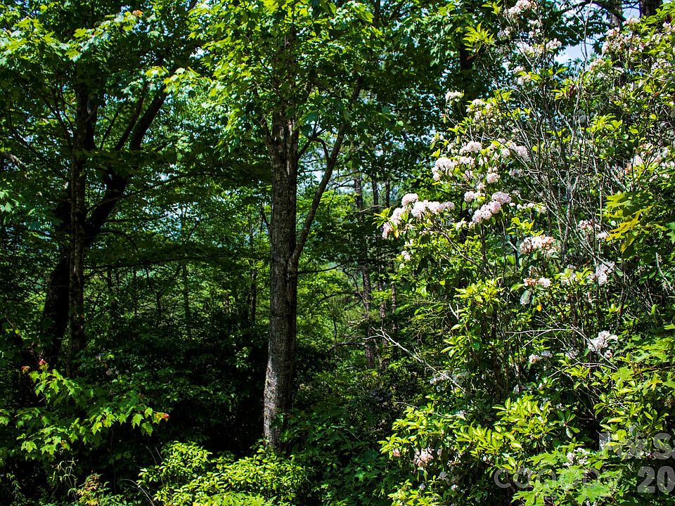 2nd image of Fox Den Rd #57&59