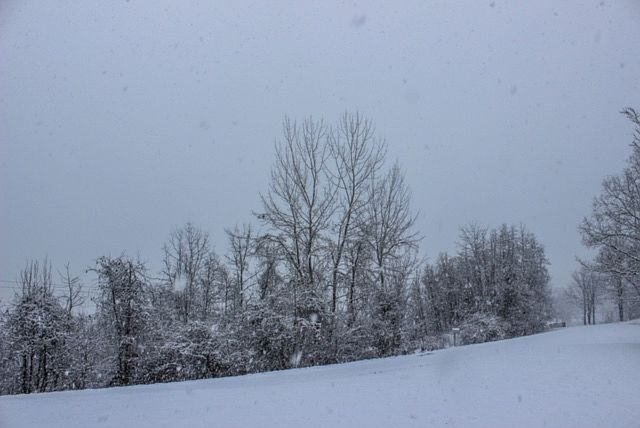 2nd image of Zion Rd