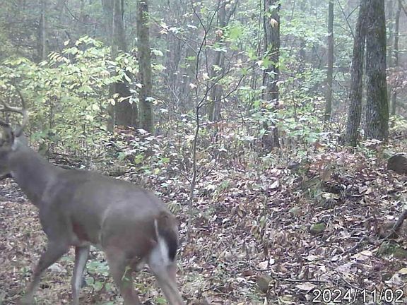 5th image of 582 Marathon Ln