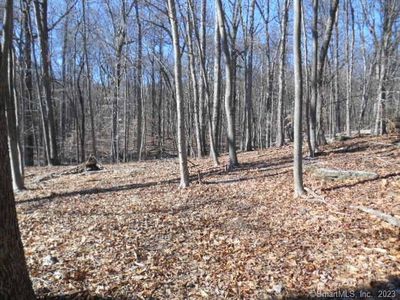 (Undisclosed Address), Stamford, CT, 06903