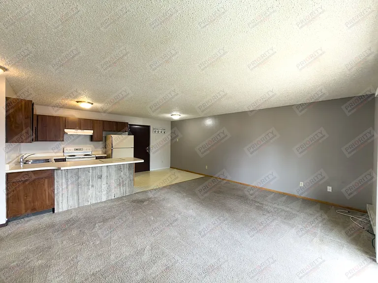 703 Vivian St — Photo 4