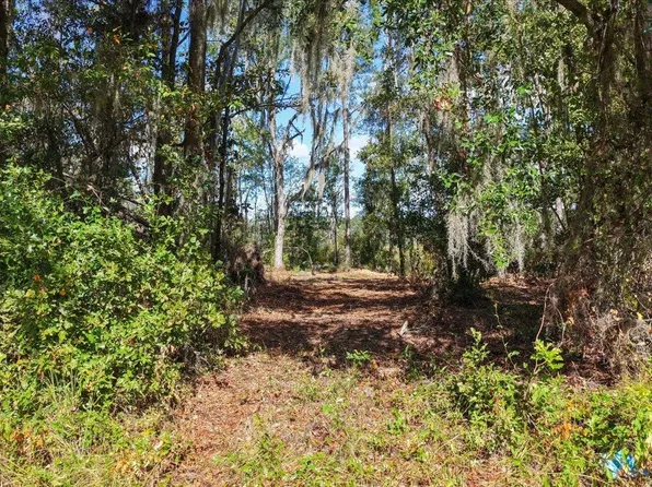 Vacant Nw Little Cat Rd, Madison, FL 32340