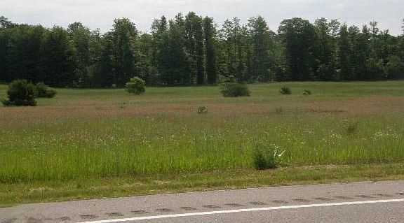 4th image of Us Highway 31