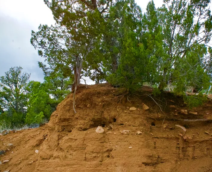39 Burro Bend Rd #A — Photo 17