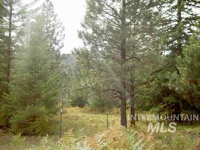 2nd image of 5 Fs Rd #100