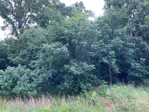 000 Rebas Hazelnut, Fordland, MO 65652