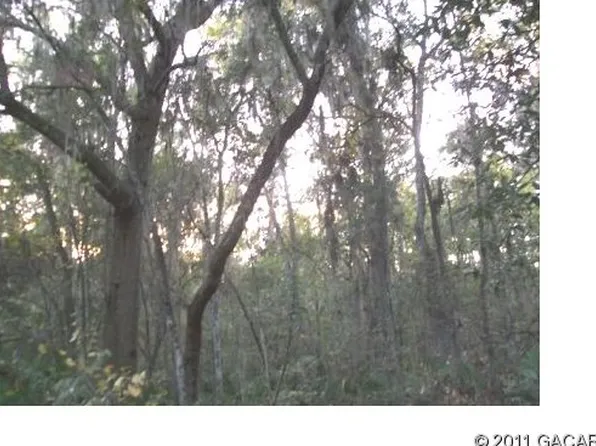 21490 NW 106th Court Rd, Micanopy, FL 32667