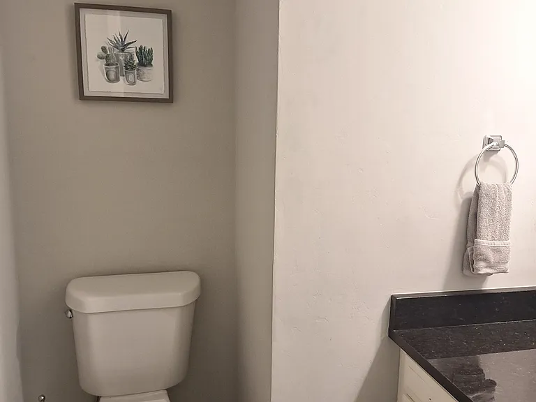 Powder room downstairs with toilet and sink.